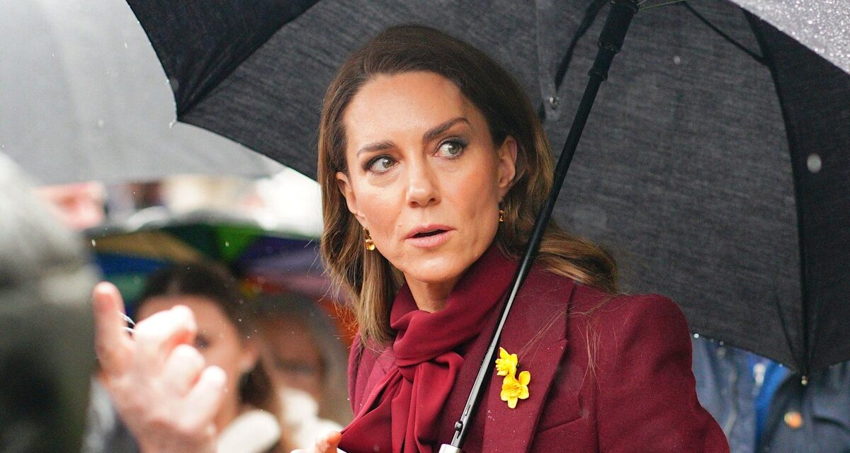 La princesse de Galles refuse discrètement la demande de fan royal – voir le moment