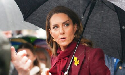 La princesse de Galles refuse discrètement la demande de fan royal – voir le moment