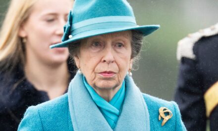 Déclaration provocante de la princesse Anne sur les coûts de fonctionnement d&rsquo;une maison surdouée de 6 millions de livres sterling