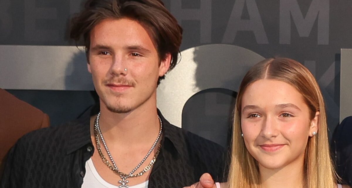 Harper Beckham est une mini pop star sur une photo de famille inédite avec son frère Cruz