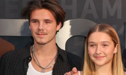 Harper Beckham est une mini pop star sur une photo de famille inédite avec son frère Cruz