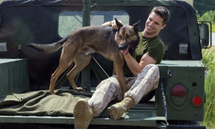 Les téléspectateurs de Netflix en larmes après que le streamer ait ajouté le film d&rsquo;action-aventure « intense » Max