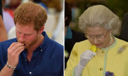 La collation indulgente du prince Harry que sa grand-mère, la reine Elizabeth II, dégustait une fois par an