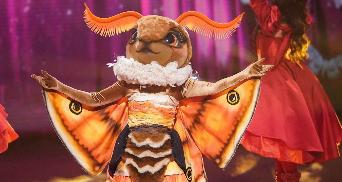 The Masked Singer 2026 : le chanteur emblématique dévoilé sous le nom de Moth alors qu&rsquo;il remporte l&rsquo;émission ITV