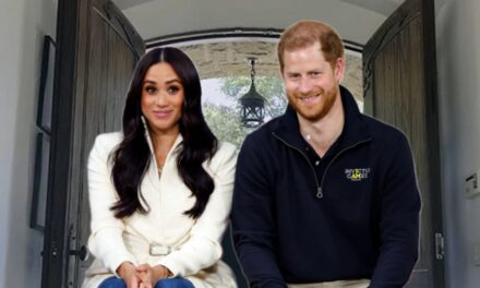Les fans du prince Harry et de Meghan Markle déconcertés par leurs toilettes dans une maison à 29 millions de dollars