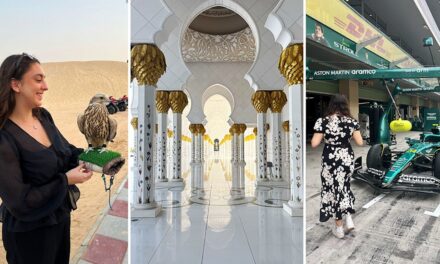 Un guide du débutant pour un voyage plein d&rsquo;action à Abu Dhabi