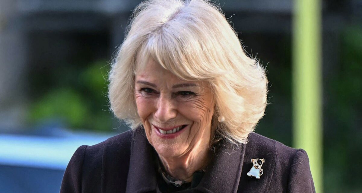 La reine Camilla transmet la « douceur émotionnelle » avec des bijoux d&rsquo;animaux de 6,5 000 £ – et des bottes hauteur genou