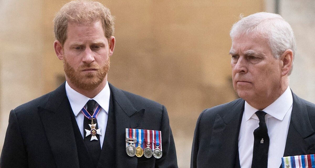 Les véritables sentiments du prince Harry envers Andrew Mountbatten-Windsor révélés