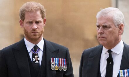 Les véritables sentiments du prince Harry envers Andrew Mountbatten-Windsor révélés