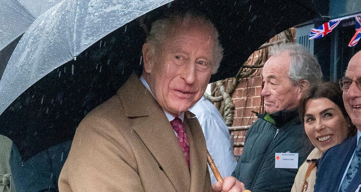 Le roi Charles a chahuté à propos des liens de son frère Andrew Mountbatten-Windsor avec Epstein lors de sa sortie