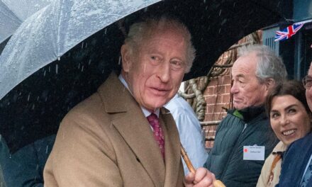 Le roi Charles a chahuté à propos des liens de son frère Andrew Mountbatten-Windsor avec Epstein lors de sa sortie