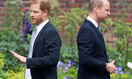 La vérité derrière le « combat » entre le prince Harry et le prince William enfin révélée