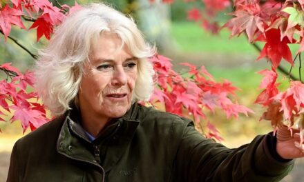 La reine Camilla transfère discrètement la propriété de sa « maison de divorce » de 850 000 £