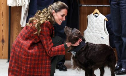 Kate Middleton révèle un nouveau membre de la famille dans un rare aperçu de la vie à la maison