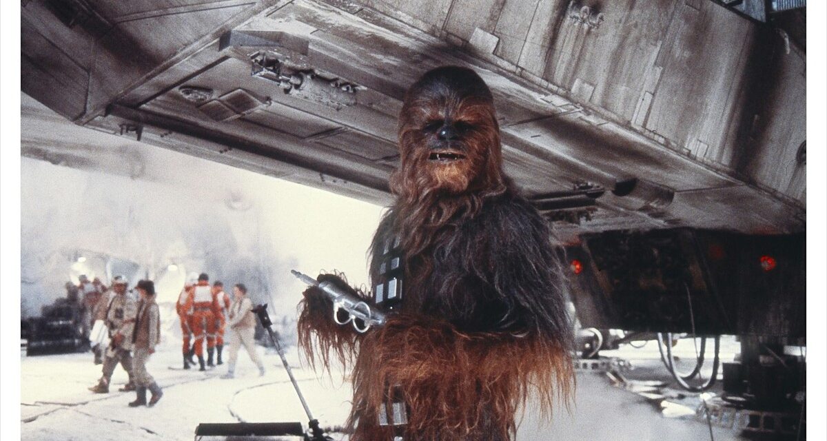 8 stars qui ont volé la vedette en silence