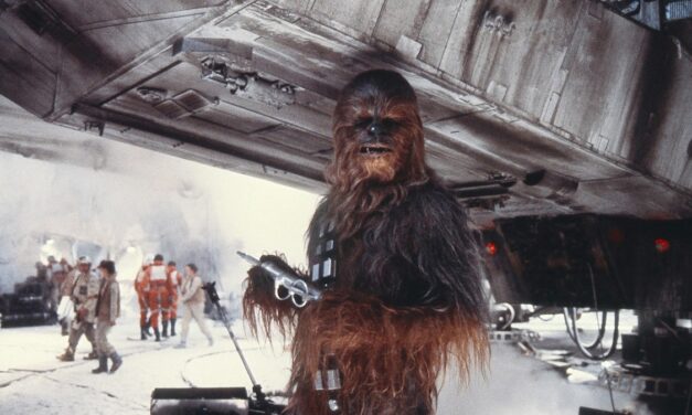 8 stars qui ont volé la vedette en silence