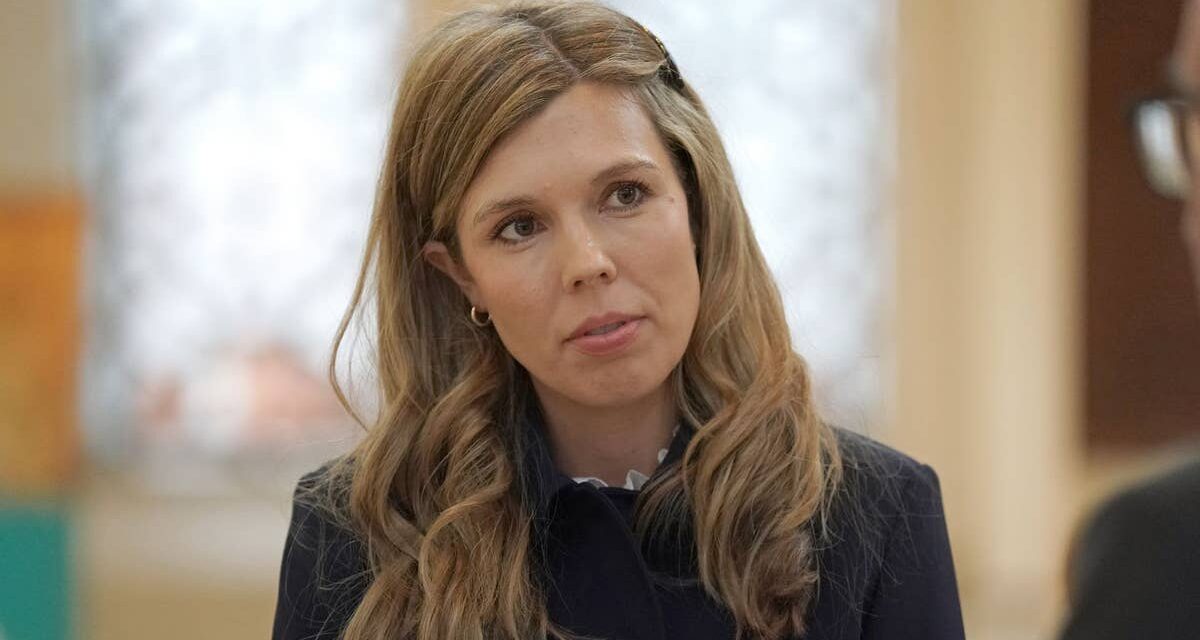 Le portrait choquant de Carrie Johnson dans une nouvelle émission télévisée révélé