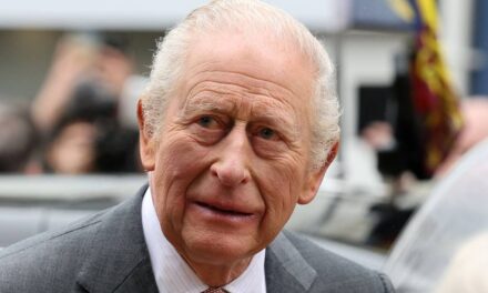 Le roi Charles « critiqué » par les hauts responsables de la famille royale pour sa « réticence » à traiter avec le prince Harry et Andrew Mountbatten-Windsor