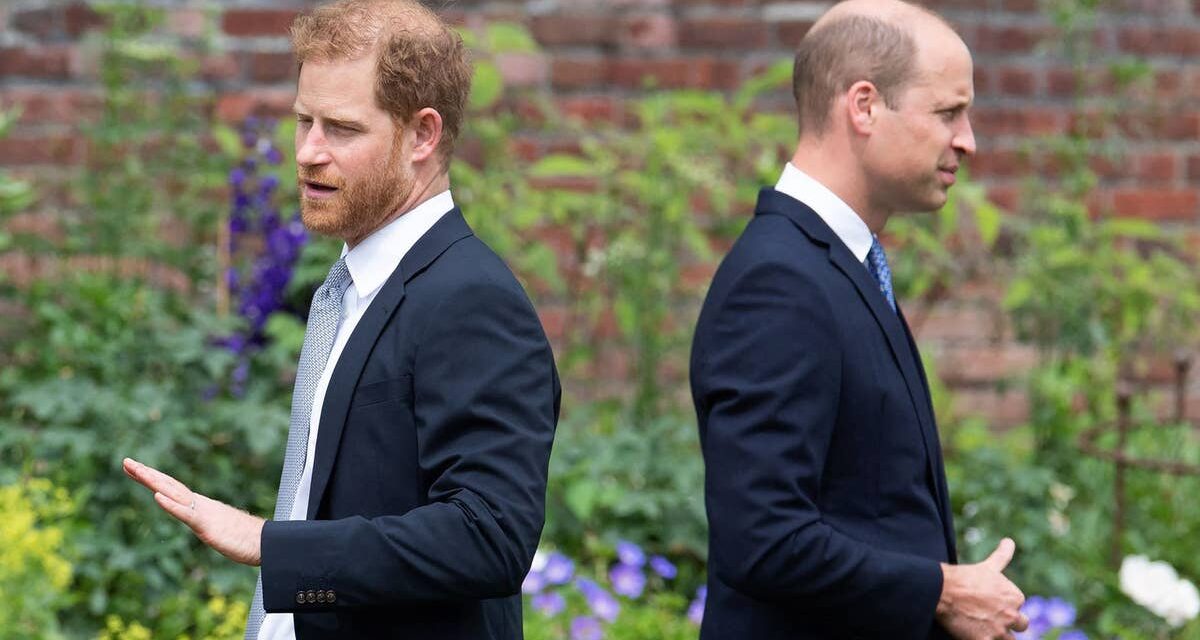 Les craintes du prince Harry que le prince William puisse priver Archie et Lilibet de leurs titres révélées