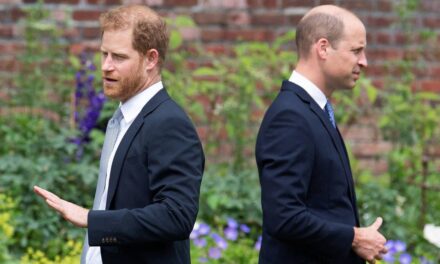 Les craintes du prince Harry que le prince William puisse priver Archie et Lilibet de leurs titres révélées
