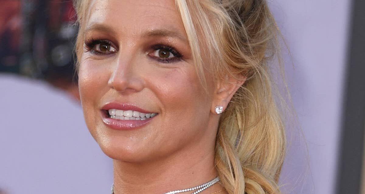 Britney Spears a de rares retrouvailles avec ses fils Sean et Jaden après son arrestation pour conduite en état d&rsquo;ébriété
