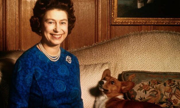 Qu&rsquo;est-il arrivé aux corgis de la défunte reine après l&rsquo;expulsion du Royal Lodge d&rsquo;Andrew Mountbatten-Windsor ?