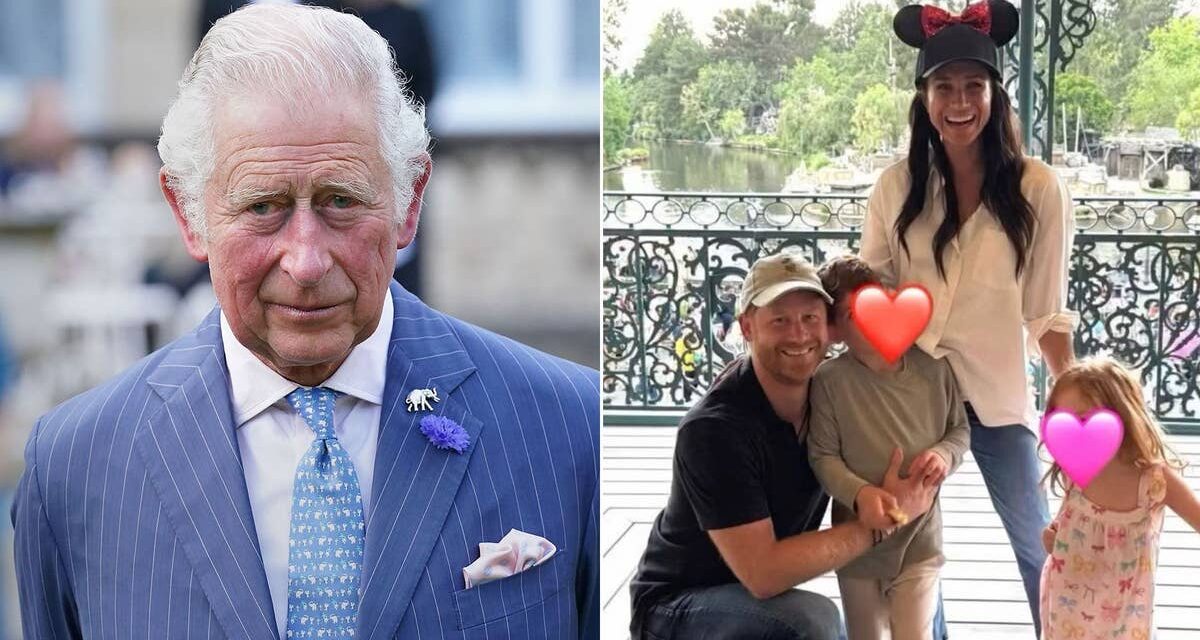 Le prince Harry espère passer du « temps en famille » au Royaume-Uni avec le roi Charles et ses deux enfants