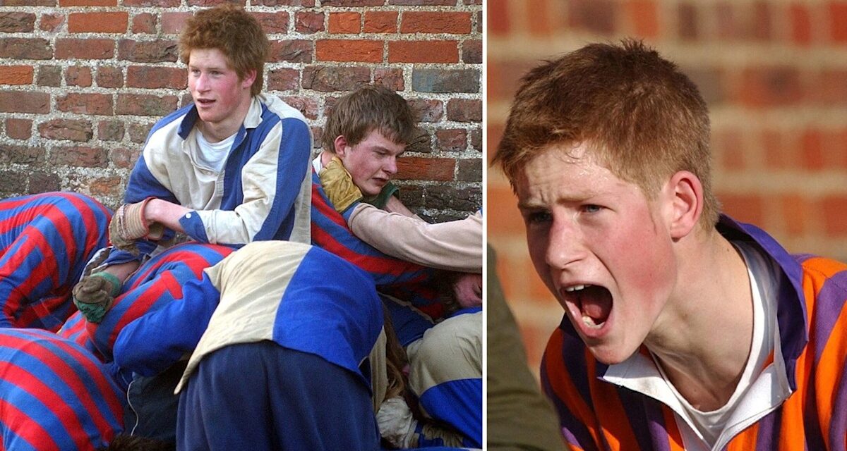 La tradition de l&rsquo;école privée « Humpty Dumpty » du prince Harry confond les fans