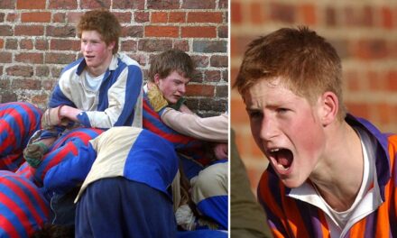 La tradition de l&rsquo;école privée « Humpty Dumpty » du prince Harry confond les fans