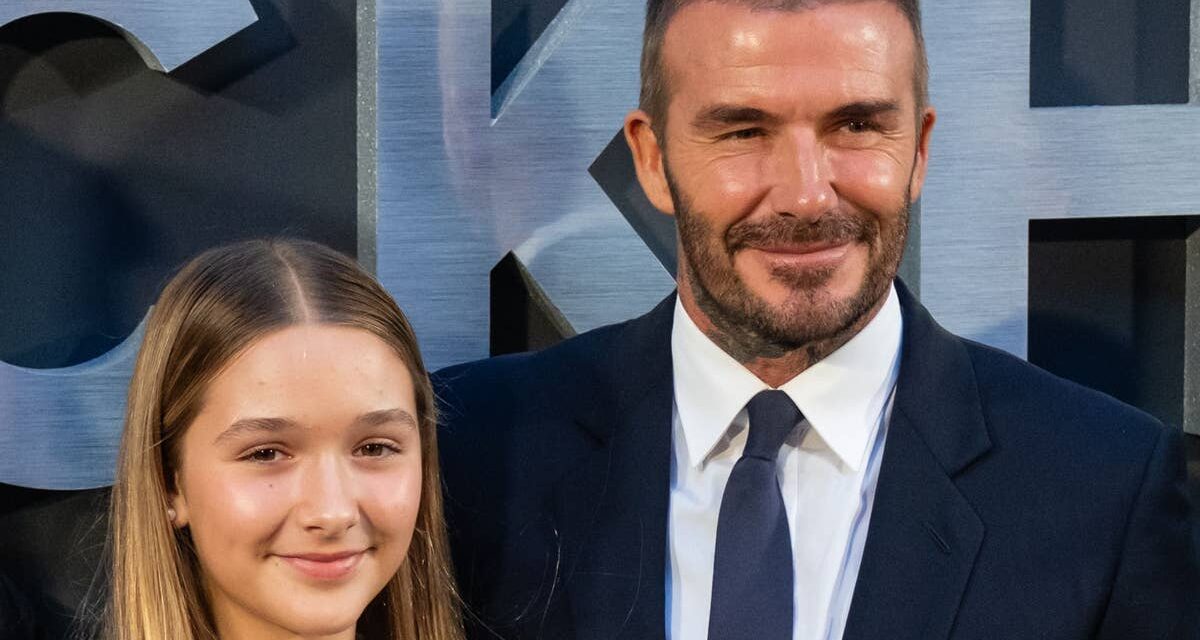 Les règles parentales strictes de David Beckham pour Harper – dont une qui est « différente » de celle de ses frères