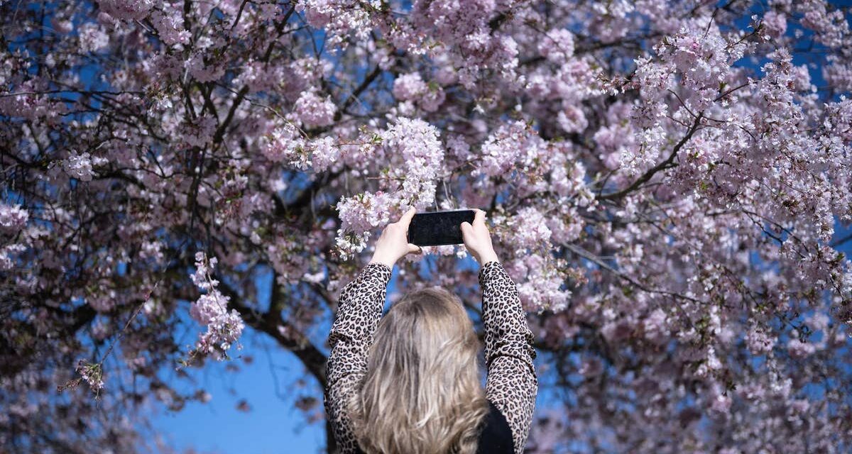 Guide expert sur la vitamine D pendant la ménopause : pourquoi vous pourriez avoir besoin de suppléments même au printemps