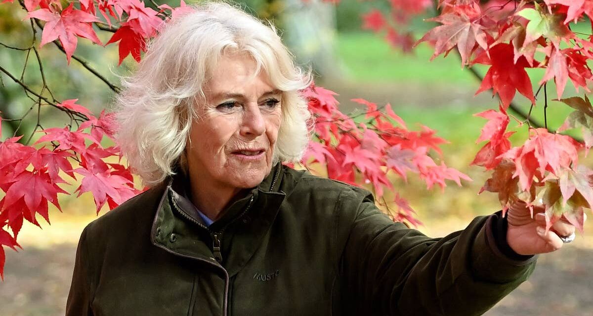 La tendance maison qui divise la reine Camilla dans les années 70 et qui n&rsquo;est plus interdite au Chelsea Flower Show