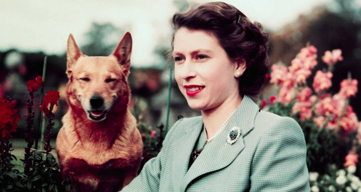 Regardez le moment oublié et réconfortant entre la reine Elizabeth et son corgi bien-aimé