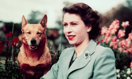Burberry vient d&rsquo;honorer la reine Elizabeth II – et ses Corgis sont inclus