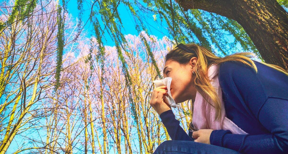 Les aliments surprenants du quotidien qui aggravent votre rhume des foins – y compris certains fruits et légumes