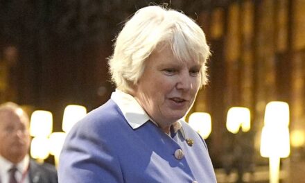 L&rsquo;AP Charlotte Manley d&rsquo;Andrew Mountbatten-Windsor reçoit l&rsquo;honneur du roi Charles après avoir parlé à la police