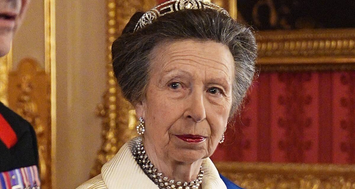 La princesse Anne surprend dans une veste découpée datant de ses 15 ans lors d&rsquo;un banquet d&rsquo;État nigérian