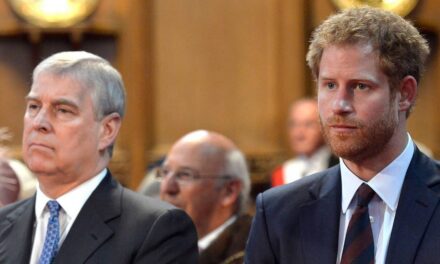 La rencontre tendue d&rsquo;Andrew Mountbatten Windsor avec le prince Harry après avoir « refusé » d’emménager dans son ancienne maison