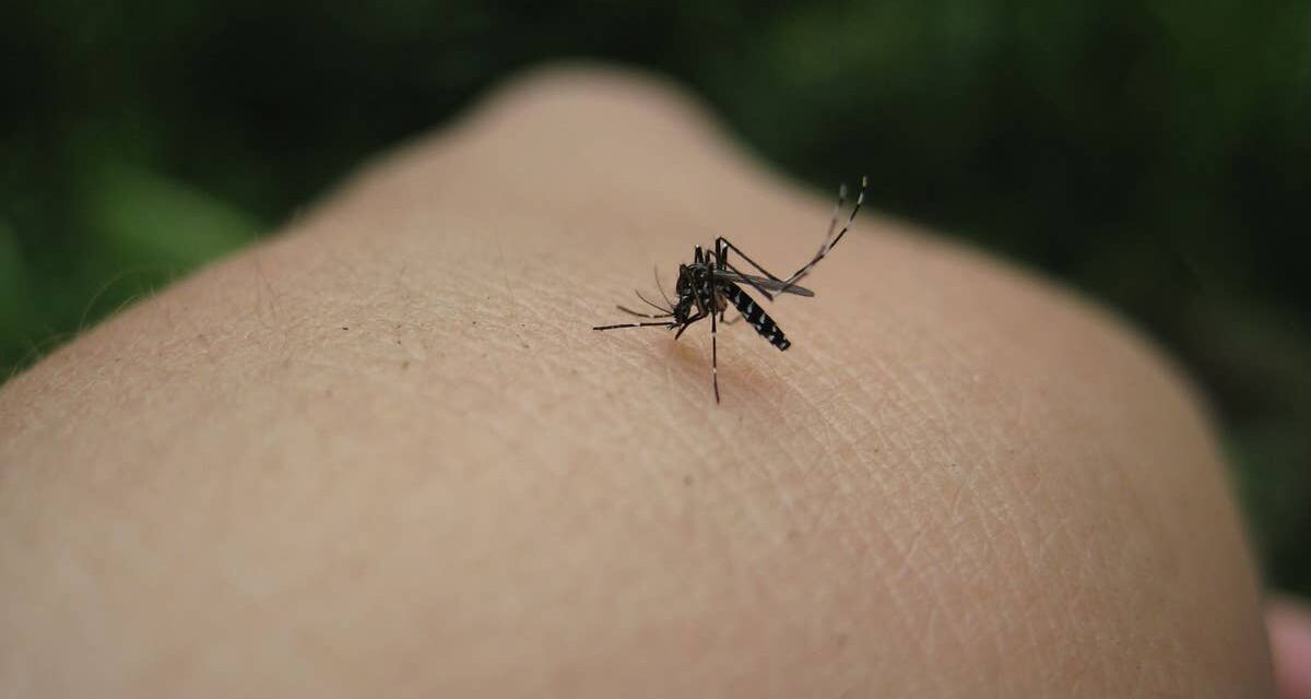 Vacanciers, méfiez-vous – le CDC émet un avertissement aux voyageurs alors que la maladie « potentiellement mortelle » voit un nombre croissant de cas