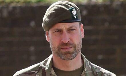 Le prince William laisse les fans royaux s&rsquo;évanouir devant le changement de garde-robe de l&rsquo;uniforme militaire de camouflage : « Bonjour, beauté ! »