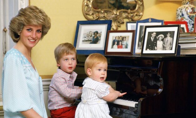Les princes William et Harry n&rsquo;enterreront jamais la hache de guerre – même pas pour le bien de la princesse Diana