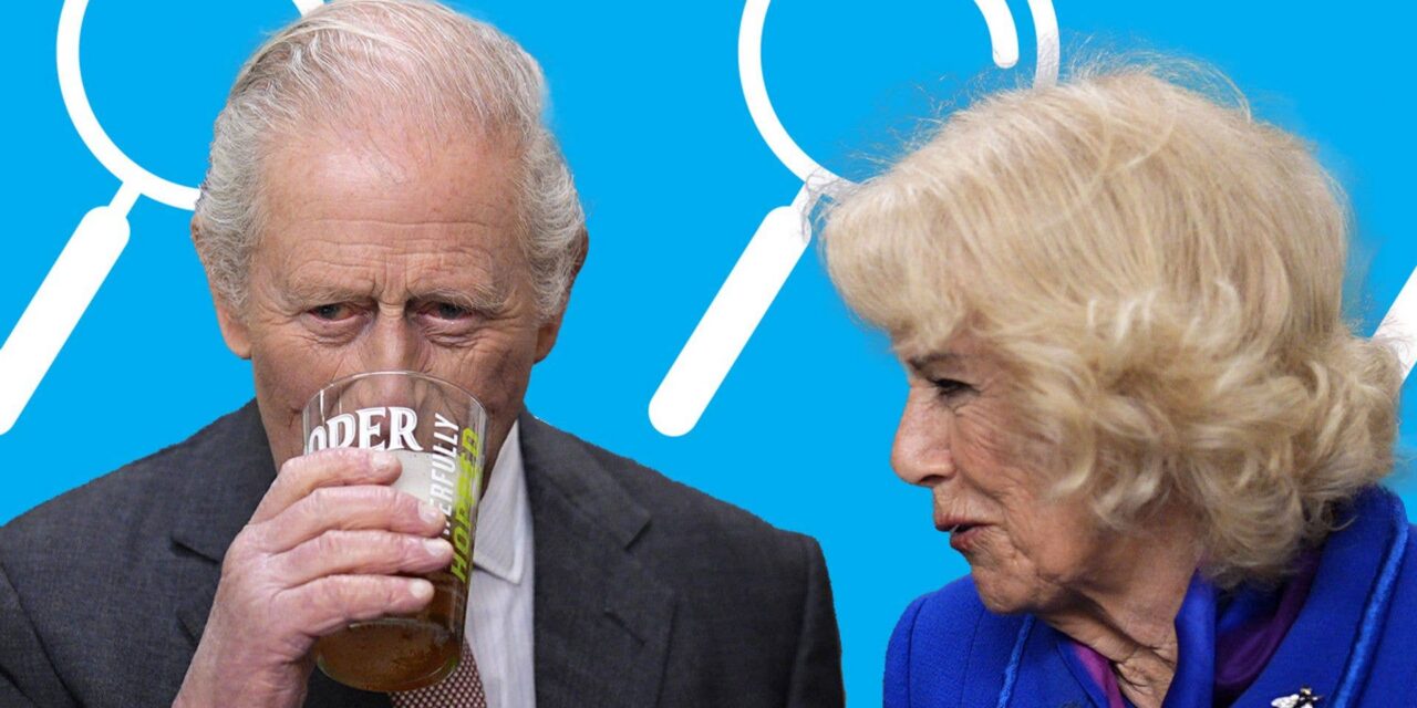 Jouez au jeu royal des différences de HELLO!