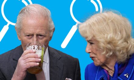 Jouez au jeu royal des différences de HELLO!