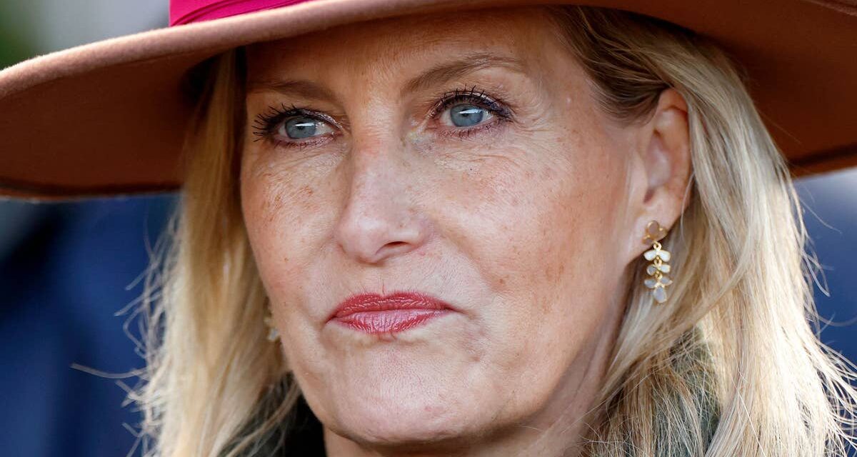 La duchesse Sophie incarne la fashionista des années 80 dans une robe « électrique » de 2,5 000 £ et des talons Jimmy Choo