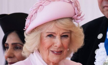 La reine Camilla subit une transformation « crédible » des sourcils tatoués