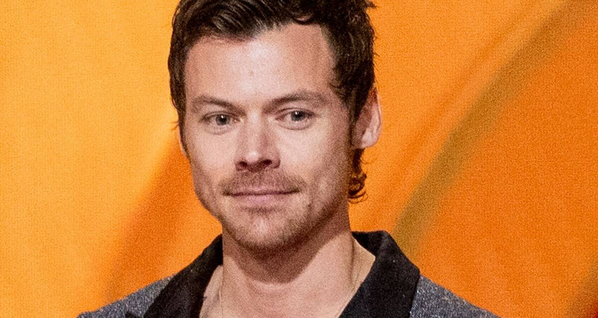 La tenue effrontée de Harry Styles sur SNL rend les fans fous