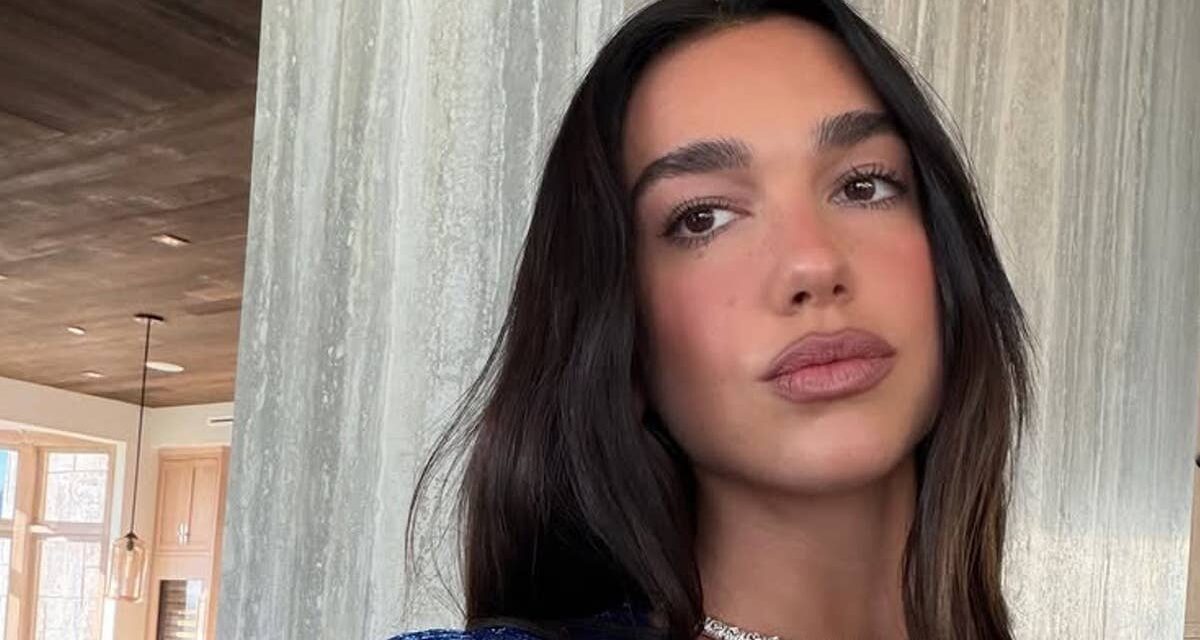 Dua Lipa affiche sa silhouette en bikini scintillant dans un selfie baigné de soleil