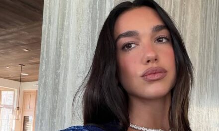 Dua Lipa affiche sa silhouette en bikini scintillant dans un selfie baigné de soleil