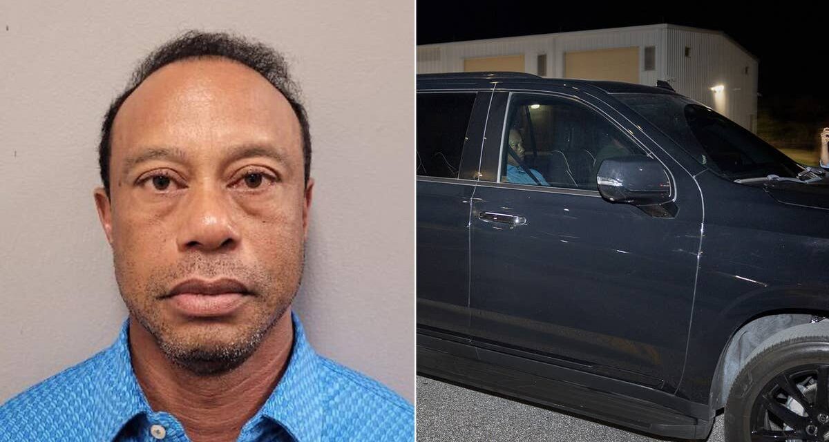 La photo de Tiger Woods publiée alors qu&rsquo;il a été libéré sous caution suite à une accusation de conduite en état d&rsquo;ébriété après un accident de voiture en Floride
