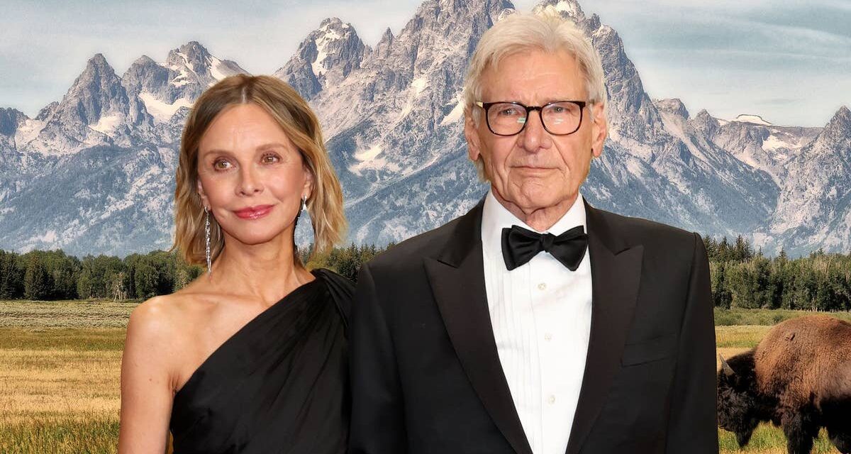 La maison de 800 acres d&rsquo;Harrison Ford avec Calista Flockhart qu&rsquo;il a partiellement abandonnée pour éviter tout dommage